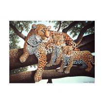 Schilderen op nummers "Luipaarden"