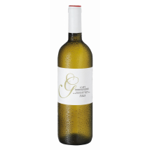 Giacosa Fratelli Gavi Piemonte DOCG