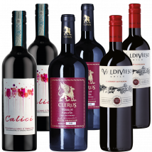 Probierpaket "Internationale Rotweine"
