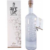 Prime Uve - Acquavite D´Uva 40%vol Cru di Prosecco in Geschenkpackung