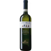 Terre Cortesi Moncaro Le Vele - Verdicchio dei Castelli di Jesi Classico DOC
