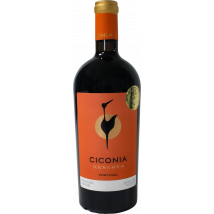 Herdade de Sao Miguel Ciconia Reserva Barrique