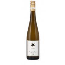 Weingut Stern Sauvignon Blanc trocken 2022