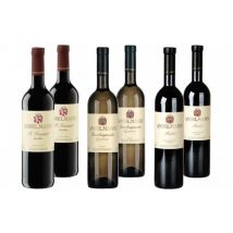 WeinPaket Weingut Anselmann