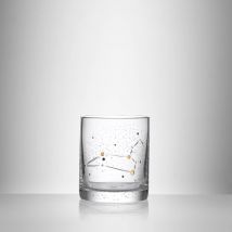 Zodiac Tumbler Leo