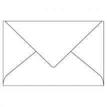 Enveloppe Pollen - 120 g - format 90 x 140 mm - paquet de 20 - blanc