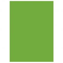 Sous-chemises 80g - 22 x 31 cm - menthe - lot de 100