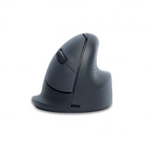 R-go tools souris verticale r-go he basic, ergonomique, droiter, moyen (longueur de la main 165-185 mm), bluetooth, gris