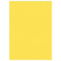 Sous-chemises 60g recyclées - 22 x 31 cm - jaune - lot de 250