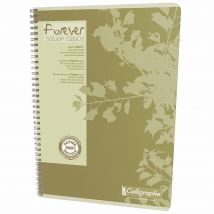 Cahier Calligraphe Forever - A4 - spirales - 180 pages - ligné 8 mm - papier recyclé & certifié - 21 x 29,7 cm - bloc 90 feuilles - Lot de 10