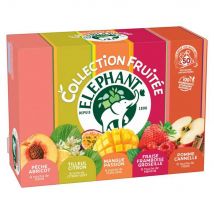 Thé fruitée Eléphant Collection - 50 sachets fraîcheur fruit