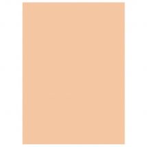 Chemises Dossiers 220g Recyclées - 24 X 32 Cm - Bulle - Lot De 100