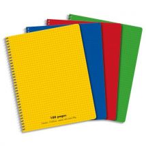 Cahier éco - spirales - couverture polypro - 100 pages - 17 x 22 cm - petits carreaux - coloris assortis