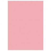 Chemises Dossiers 220g Recyclées - 24 X 32 Cm - Rose - Lot De 100