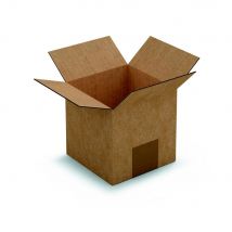 Caisse américaine RAJA carton simple cannelure - L.int. 12 x l.12 x h.12 cm - Kraft brun - Lot de 25