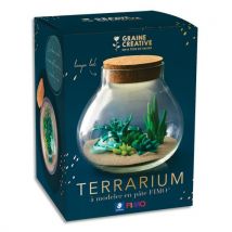 Kit Fimo terrarium Graine Créative