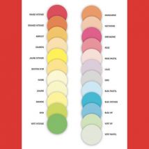 Papier Adagio Flash - teinte fluo - 80 g - A4 - coloris assortis - Ramette Papier de 500 feuilles