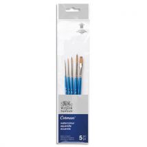 Set de Pinceaux Winsor & Newton Cotman x5 assortis