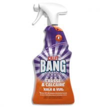 Nettoyant surpuissant Cilit Bang - flacon pistolet 750ml