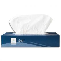 Boîte De 100 Mouchoirs Blancs - 100 Feuilles - 2 Plis Lisses - Dimensions : 19,7 X 20 Cm