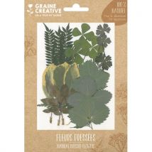 Sachet de 21 feuilles séchées Graine Creative Forest pour la création de bougies, objets en bois, bijoux
