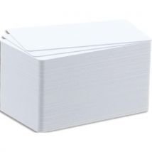 Badgy Evolis Pack de 100 cartes papier pour Badgy 100/200, épaisseur 0,76mm - 30 mil