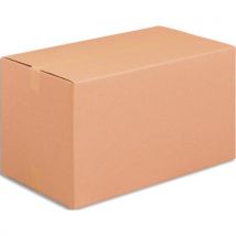 Caisse américaine simple cannelure Master'In 430 mm x 300 mm x 300 mm - Lot de 20