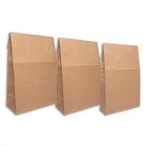 Pochettes Bong E-green E-commerce Aller-Retour 350x250x50 papier papier kraft brun 120 g/m².Boîte de 250.