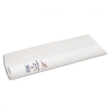 Rouleau de papier blanc 60g/m2 1x25m