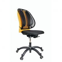 Support dorsal pour chaise de bureau Fellowes