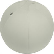 Leitz - Ergo active aktiivipallo 65 cm vaaleanharmaa