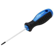 Manutan expert - T10-torx-ruuvimeisseli − manutan
