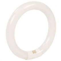 Manutan expert - Varalamppu suurennuslamppuun manutan 22 w