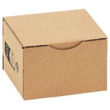 Speedbox Ruskeat Pakkauslaatikot 120x100x80mm - 50 kpl - Kierrätettävä Pahvi