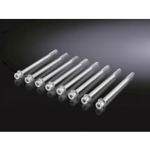 Rittal Schraubverbindung VE=8 SV 9676811 Flat-PLS Schraube M10x110