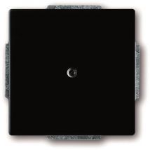 BJ future linear Blindabdeckung 1742-885 schwarz matt