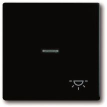 BJ Wippe f. Kontrollschalter 1789 LI-885 Symbol Licht