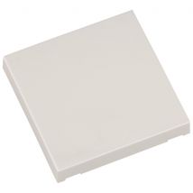 ELDAT Taste Ein/Aus ws RTS22-ACC-02-02P f.Wandtaster RTS22 Format 55