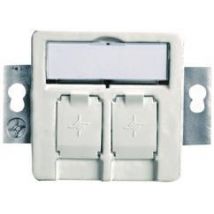 TG Modul-Aufnahme 50x50 rw H02010A0081 2-fach UP/50 f.BR 45° Auslass leer