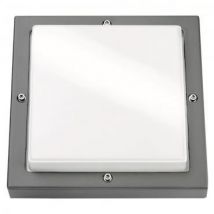SGL LED-Wandleuchte Bassi grafit 623188 10W 580lm 3K IK10 IP65 m.Dae 240x240mm