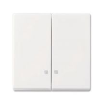 BJ Wippe alpinweiss 2505 K-914 Busch-balance SI f.Schalter/Taster