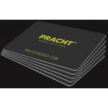 Pracht ALPHA9003-RFID-Karte NRG9003 für PRACHT Ladestation ALPHA 5er-SET