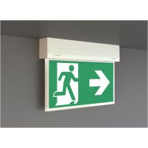 RP Notleuchte weiß 4,6W IP54 KSU013SC 3h EKW 22m Wand/Decke m.Scheibe / 5J