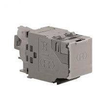 Rutenbeck UM-Cat.8.1/Class I 40/25/10G 40GB-Universalmodul geschirmt 13900306 (Inhalt 12 Stück)