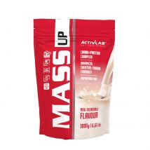 Odżywka Węglowodanowo-Białkowa Gainer Activlab Mass Up 3000g