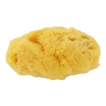 Chacott - Natural Sea Sponge 1 pc