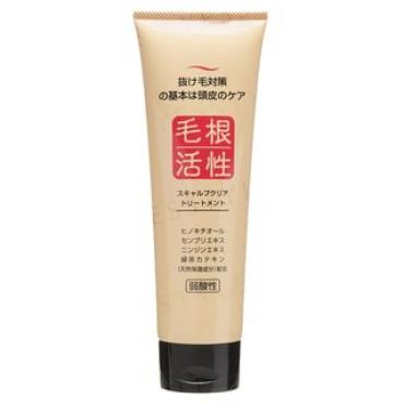 JUN COSMETIC - Root Activity Scalp Clear Treatment 250g