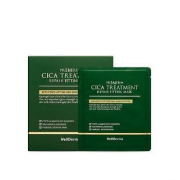WellDerma - Premium Cica Treatment Repair Fitting Mask Set 25g x 4 pcs
