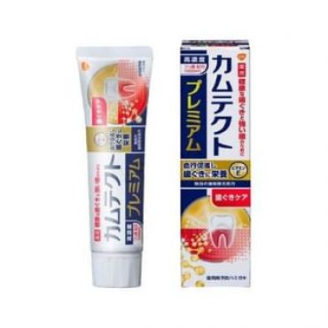 EARTH - Camtect Premium Gum Care Toothpaste 105g