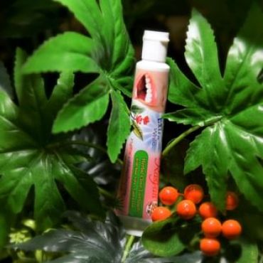 Rasyan - Extra White Herbal Clove Toothpaste With Aloe Vera & Guava Leaf Mini 30g mini